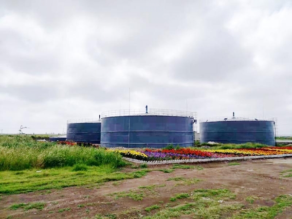 內(nèi)蒙興安盟一萬(wàn)方大型沼氣工程