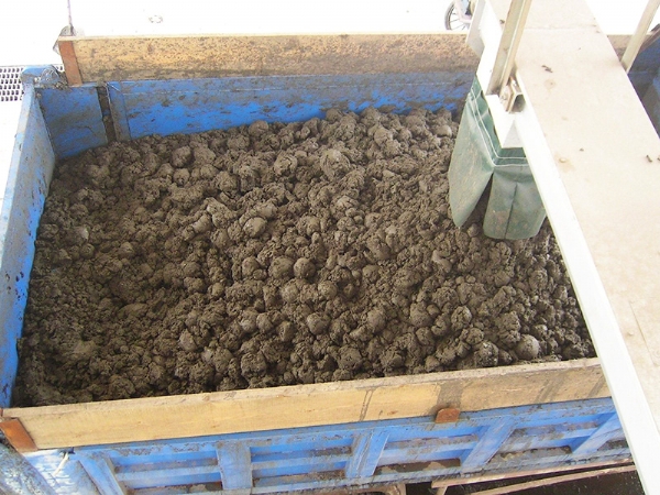 固體糞便堆肥