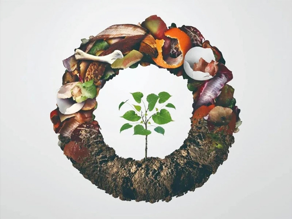 如何破解餐廚垃圾處理難題