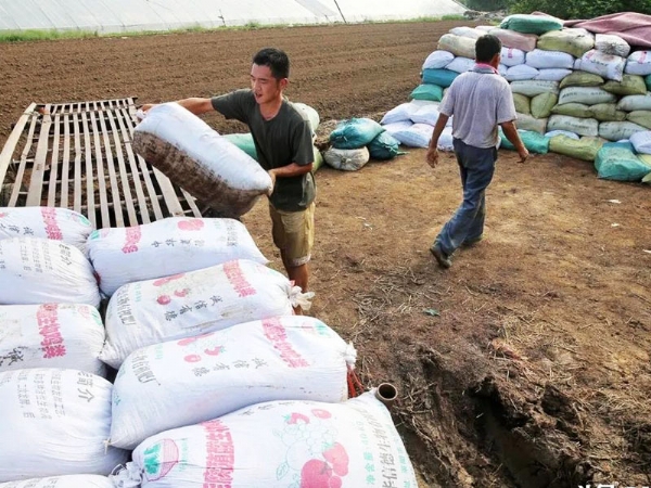 農民一定要重視“有機肥”的投入，不要問為什么，自己看吧